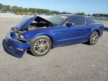  Salvage Ford Mustang