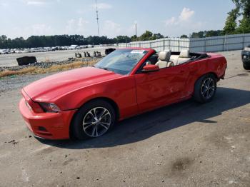  Salvage Ford Mustang