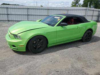  Salvage Ford Mustang