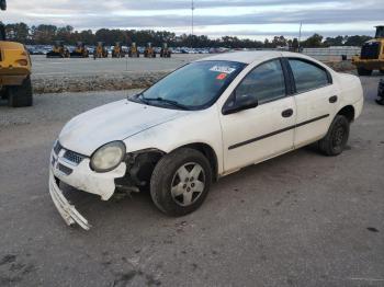  Salvage Dodge Neon