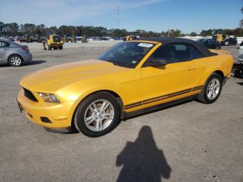  Salvage Ford Mustang