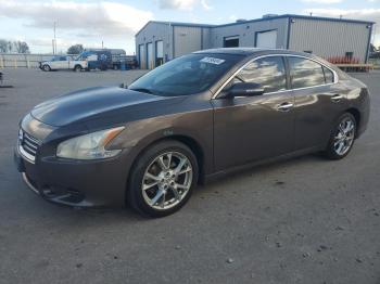  Salvage Nissan Maxima