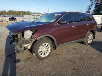  Salvage Kia Sorento