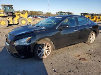  Salvage Nissan Maxima