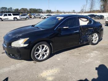  Salvage Nissan Maxima