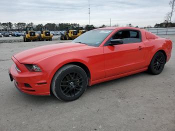  Salvage Ford Mustang