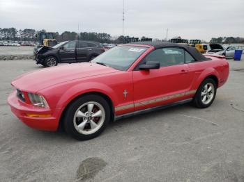  Salvage Ford Mustang