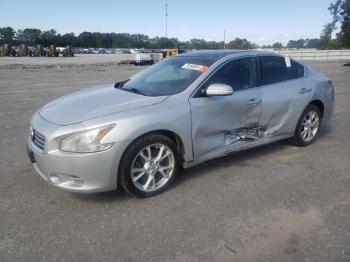  Salvage Nissan Maxima