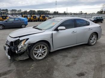  Salvage Nissan Maxima