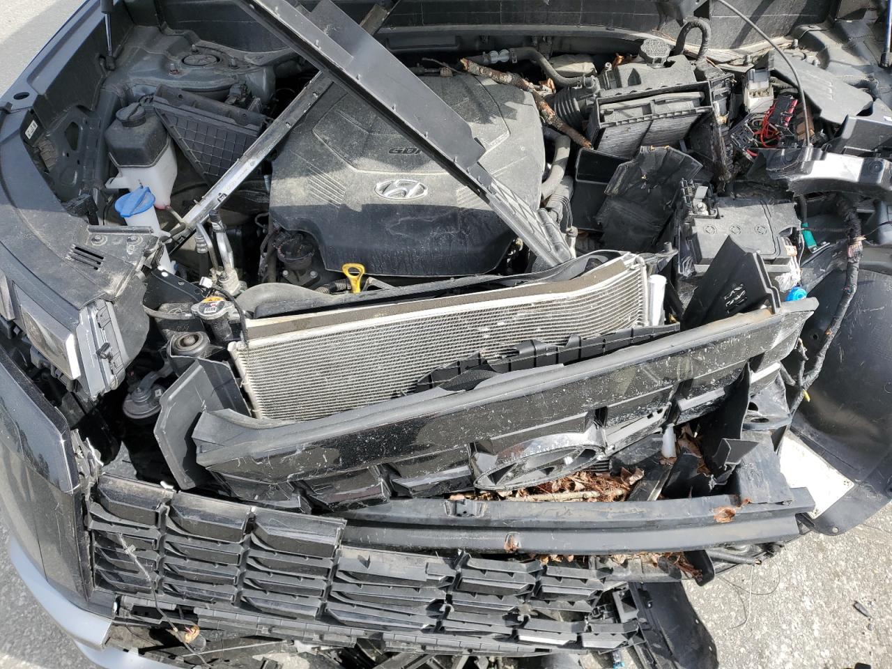 Hyundai PALISADE Limited Image 7