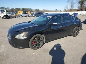  Salvage Nissan Maxima