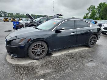  Salvage Nissan Maxima