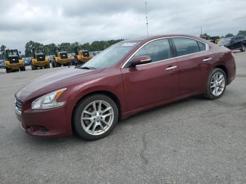  Salvage Nissan Maxima