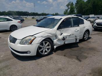  Salvage Nissan Maxima