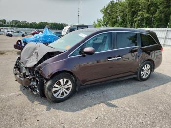  Salvage Honda Odyssey