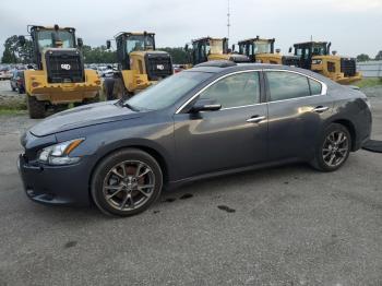  Salvage Nissan Maxima