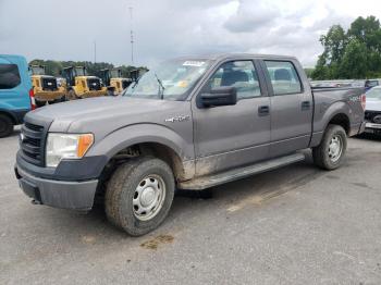  Salvage Ford F-150