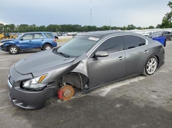  Salvage Nissan Maxima