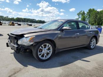  Salvage Nissan Maxima
