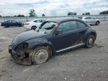  Salvage Volkswagen Beetle
