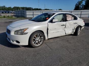  Salvage Nissan Maxima