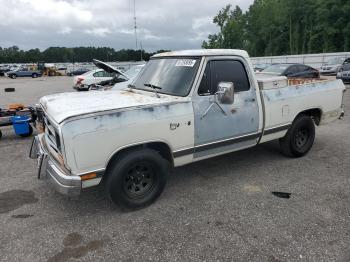  Salvage Dodge D Series
