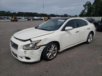  Salvage Nissan Maxima