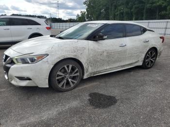  Salvage Nissan Maxima