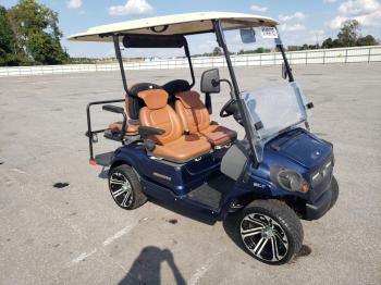  Salvage Golf Golf Cart