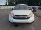 Honda Crv Lx Image 12