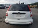 Honda Crv Lx Image 4