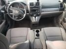 Honda Crv Lx Image 5