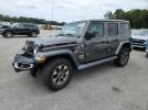 Jeep Wrangler Sahara Image 1