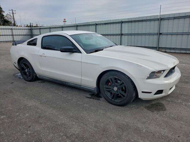 Ford Mustang Image 3