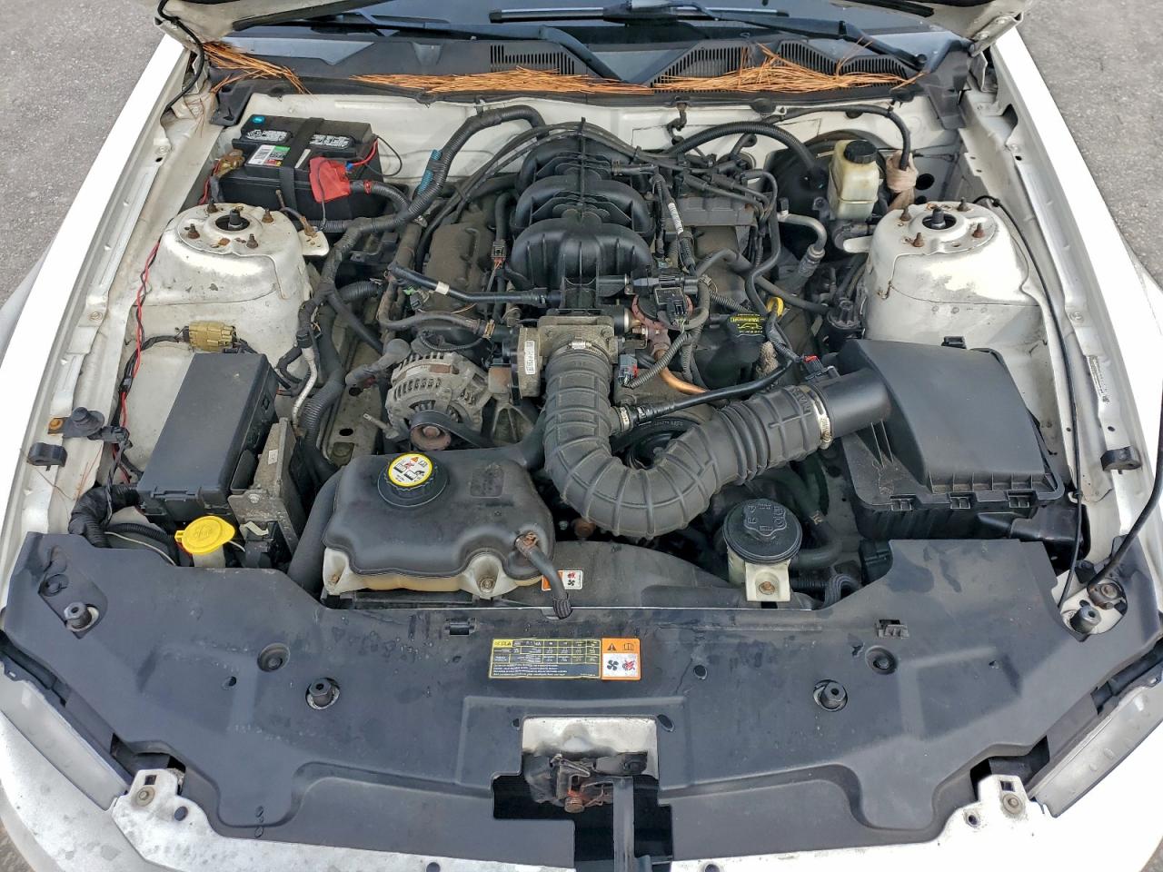 Ford Mustang Image 9