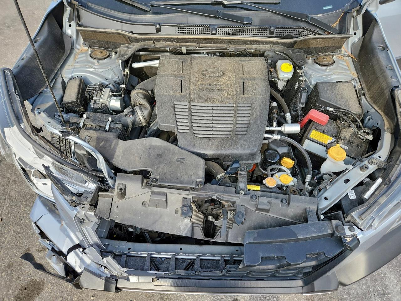 Subaru Forester Wilderness Image 9