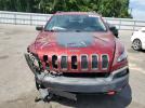 Jeep Cherokee Trailhawk Image 8