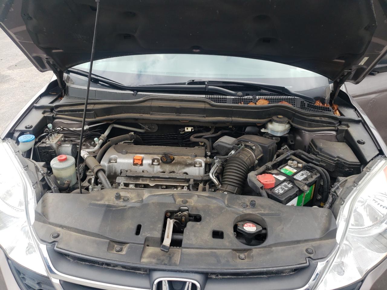 Honda Crv Lx Image 10