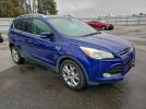 Ford Escape Titanium Image 13