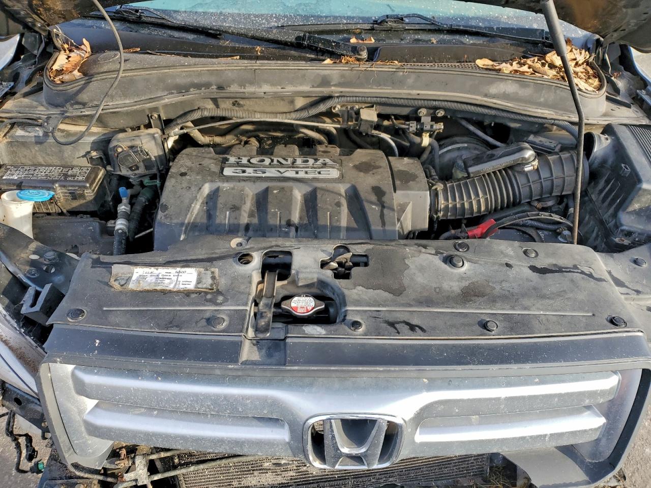 Honda Pilot Ex Image 7