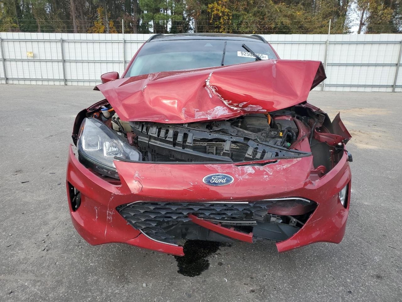 Ford Escape Sel Image 9