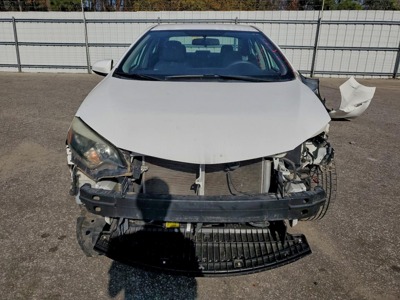 Toyota Corolla L Image 4