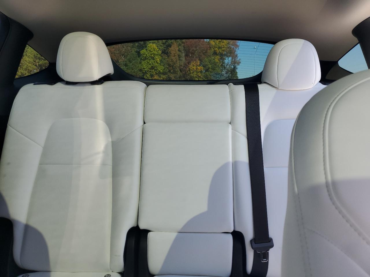 Tesla Model Y Image 11