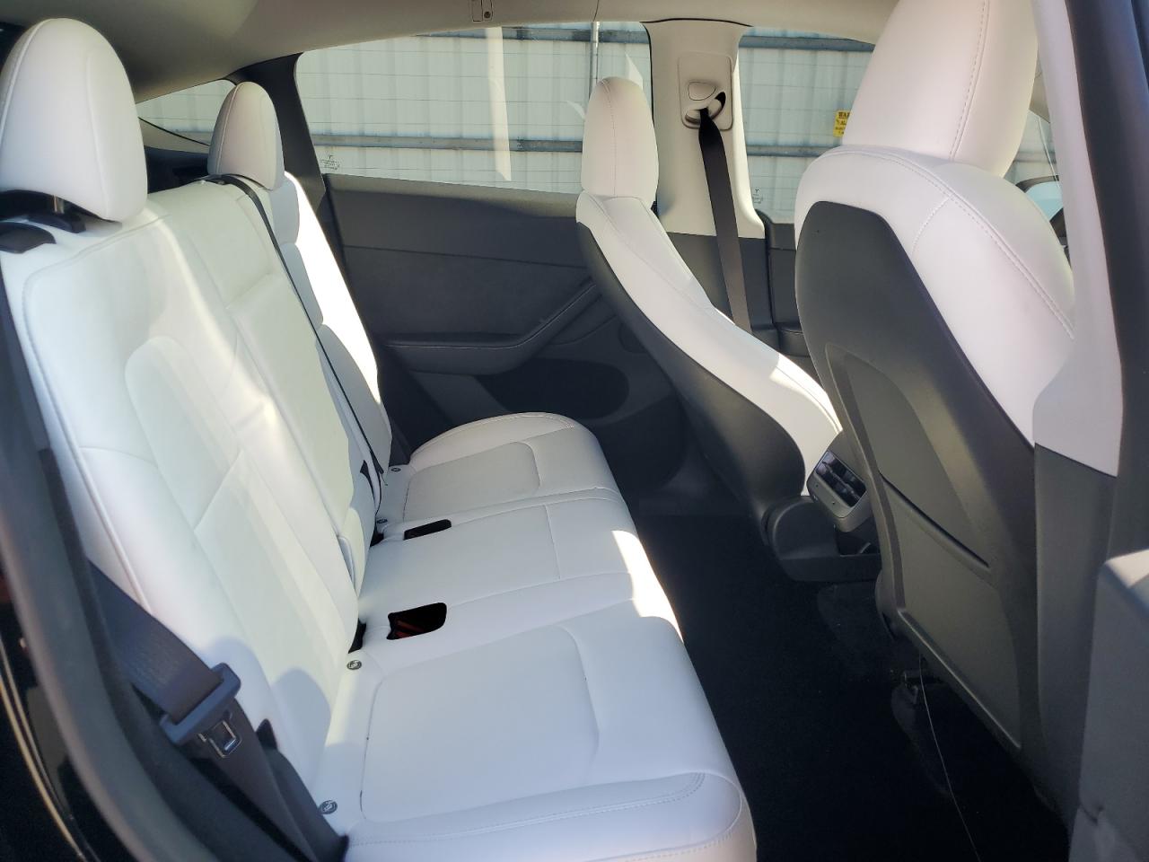 Tesla Model Y Image 12