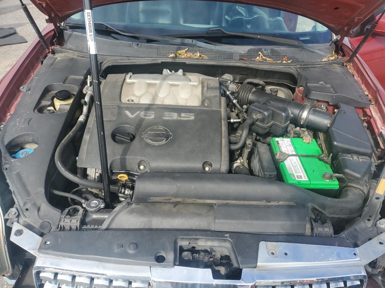 Nissan Maxima Se Image 10