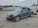 Volkswagen Beetle Image 1