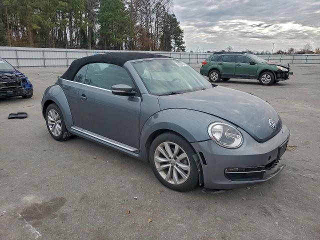 Volkswagen Beetle Image 4
