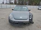 Volkswagen Beetle Image 7