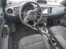 Volkswagen Beetle Image 9