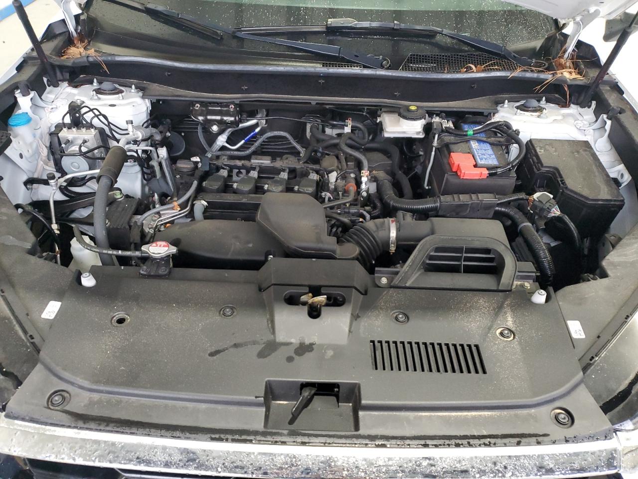 Honda Crv Exl Image 2